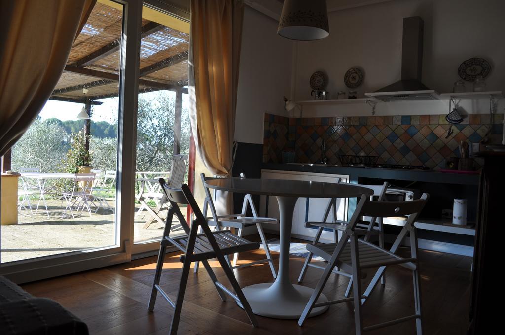 Podere L'Olmaia 马西利亚纳 外观 照片