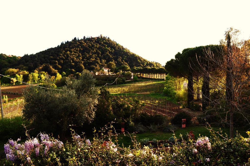 Podere L'Olmaia 马西利亚纳 外观 照片