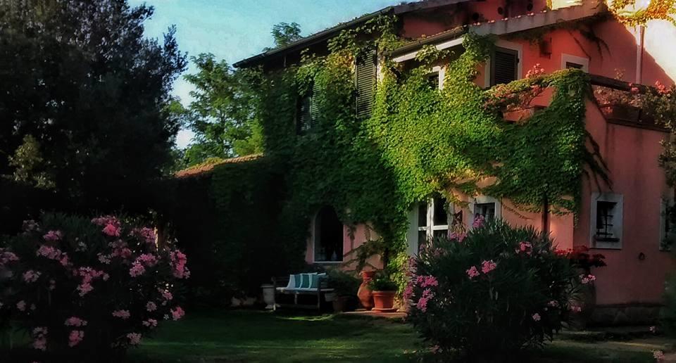 Podere L'Olmaia 马西利亚纳 外观 照片