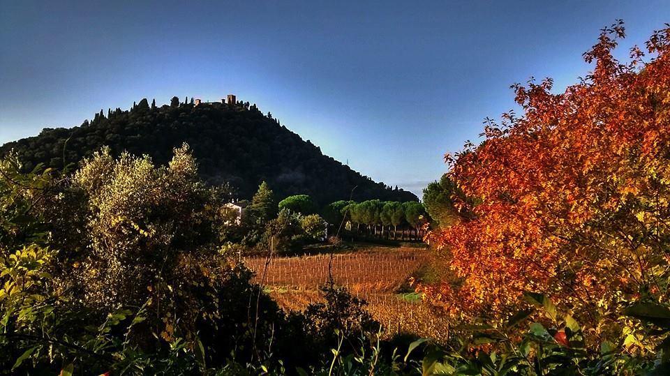 Podere L'Olmaia 马西利亚纳 外观 照片