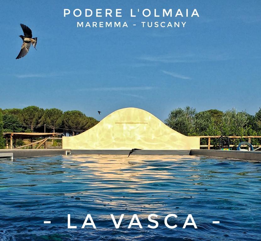 Podere L'Olmaia 马西利亚纳 外观 照片